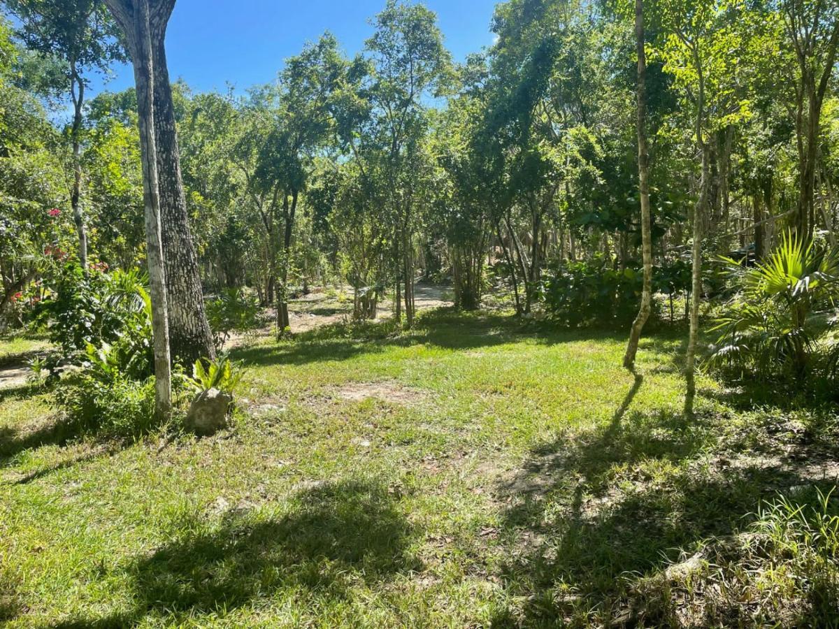 Glamping Bunga Lotus Hotel Tulum Kültér fotó