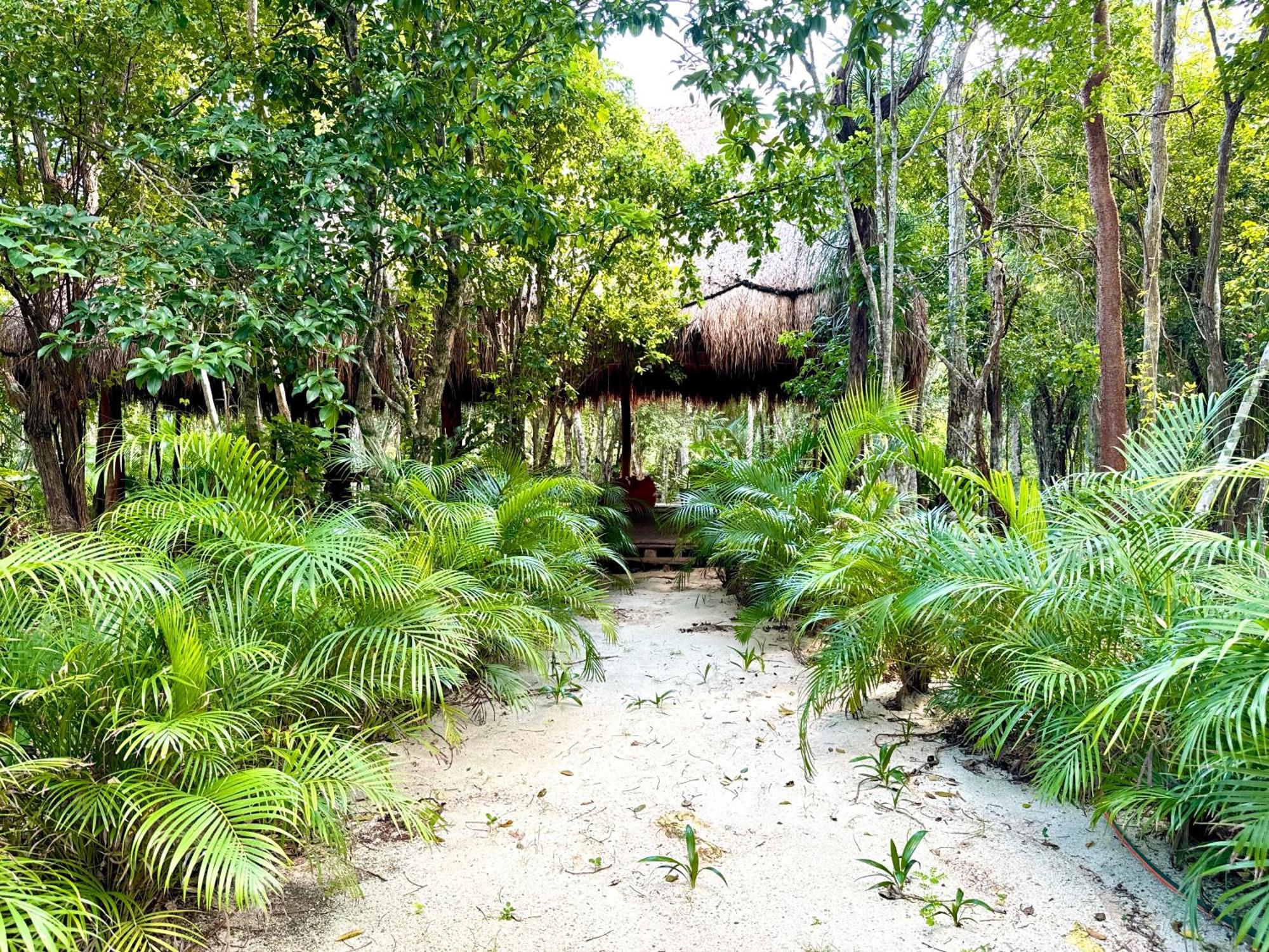 Glamping Bunga Lotus Hotel Tulum Kültér fotó