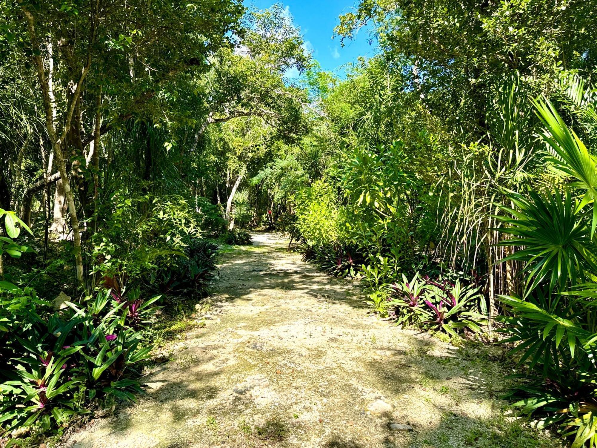 Glamping Bunga Lotus Hotel Tulum Kültér fotó