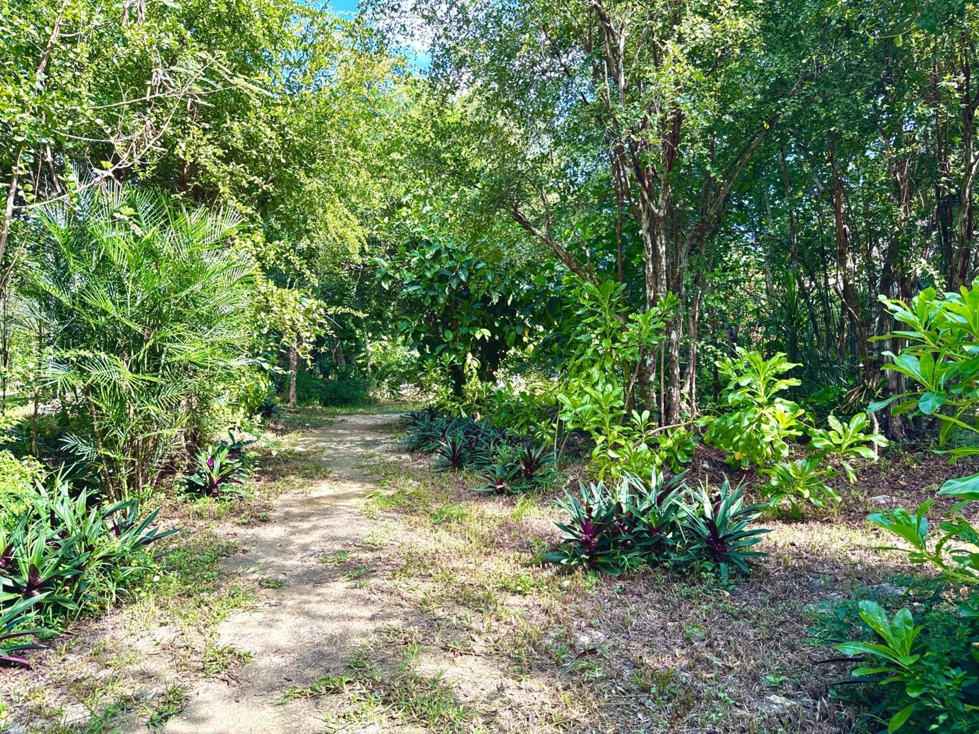 Glamping Bunga Lotus Hotel Tulum Kültér fotó